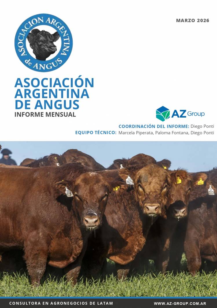 Informe Mensual Angus - Marzo 2026