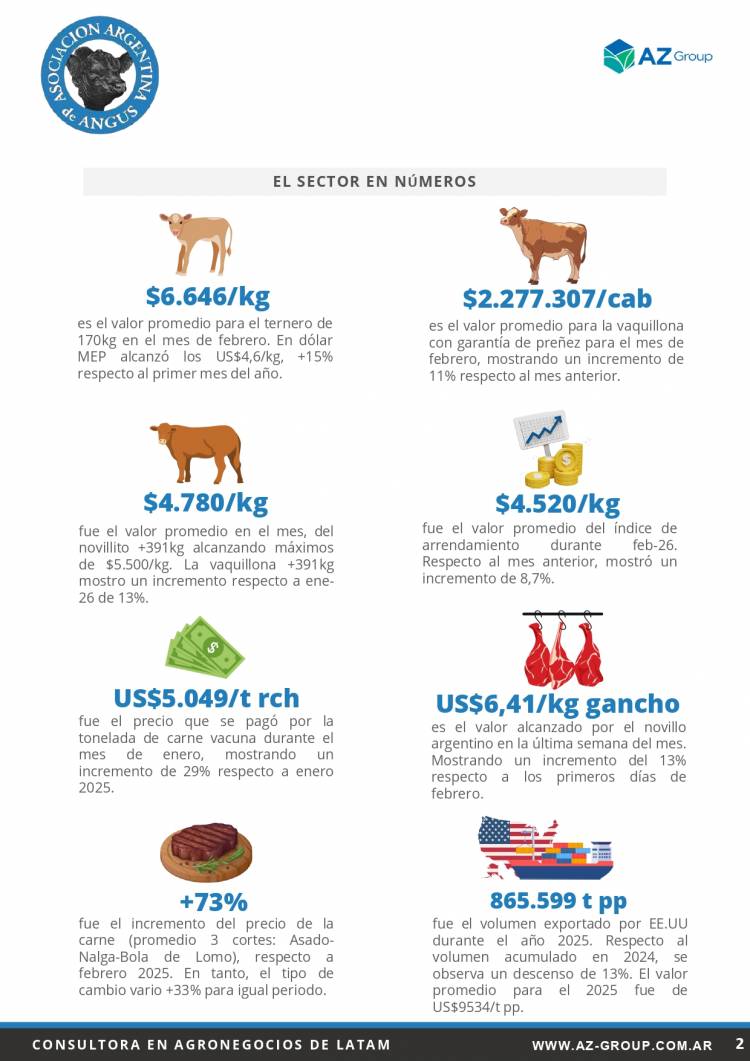 Informe Mensual Angus - Marzo 2026