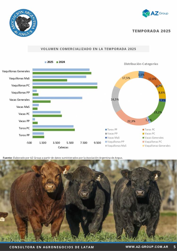 Informe Mensual Angus - Marzo 2026