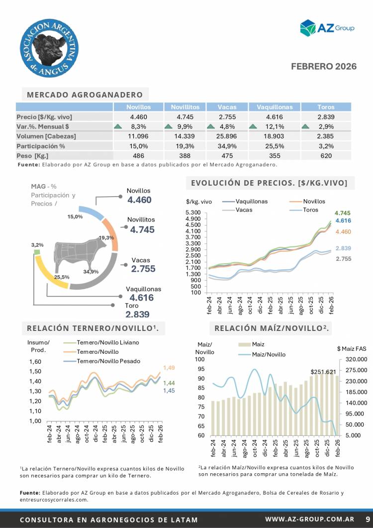 Informe Mensual Angus - Marzo 2026