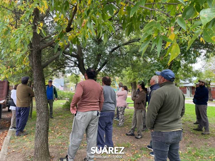 Cuidemos nuestro arbolado público: más de 150 podadores se capacitan en Coronel Suárez