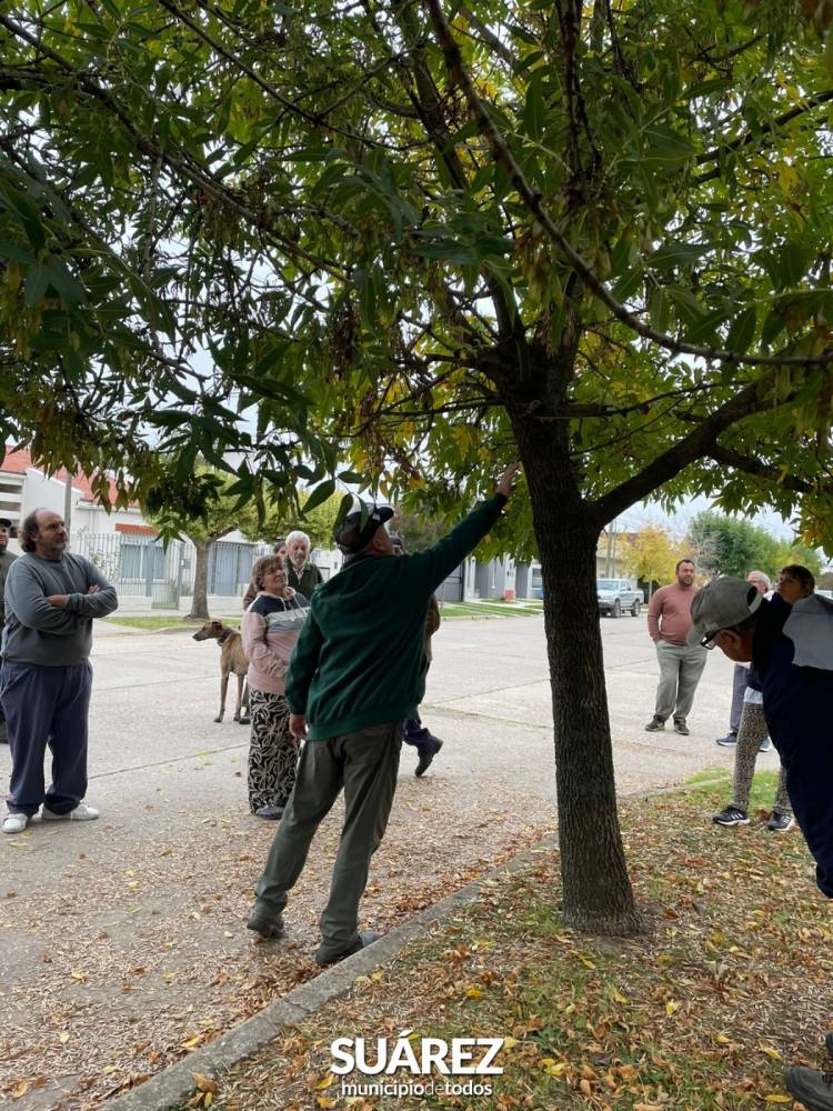 Cuidemos nuestro arbolado público: más de 150 podadores se capacitan en Coronel Suárez
