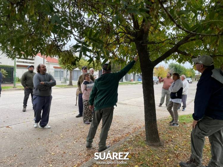 Cuidemos nuestro arbolado público: más de 150 podadores se capacitan en Coronel Suárez