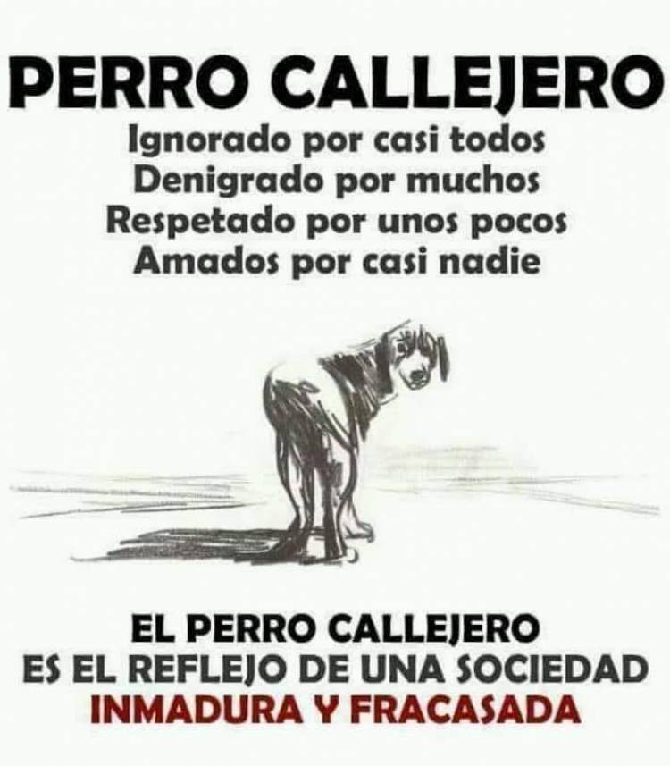 DÍA DEL ANIMAL EN SUÁREZ: NADA QUE FESTEJAR