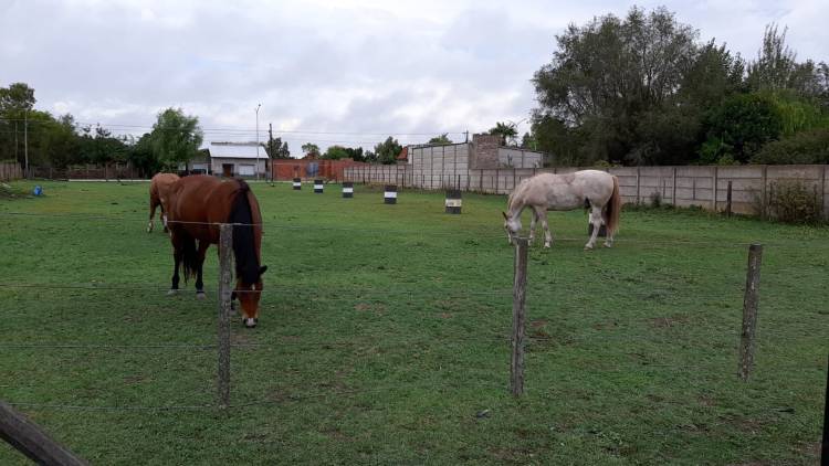 Equinoterapia De Corazón celebra la amistad “De blanco” 