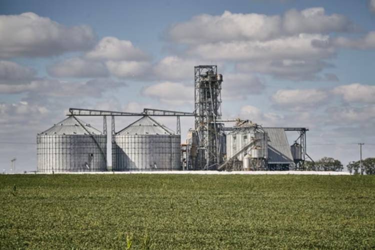 “Continúa elevado”: el Estado se lleva con impuestos el 61,9 por ciento de lo que genera una hectárea agrícola