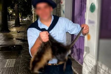 Maltrato animal: el Colegio de Veterinarios bonaerense pide sanciones penales contra los matanutrias