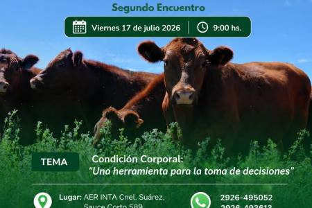 Curso de Producción Ganadera I