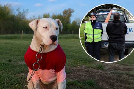 Mató de un escopetazo al perro de su vecino y quedó detenido