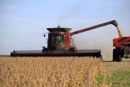 Por el impuesto a la riqueza, el campo perdería exportaciones por u$s 2400 millones