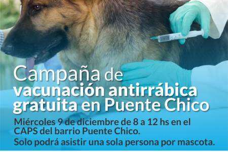 Vacunación antirrábica en barrio Puente Chico
