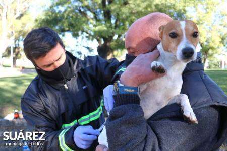 “Debemos cuidarnos a nosotros mismos y a nuestras mascotas”
