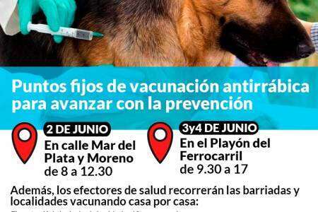Puntos fijos de vacunación antirrábica para avanzar con la prevención