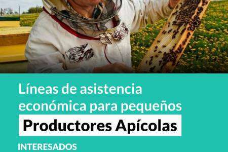Líneas de asistencia económica para pequeños Productores Apícolas