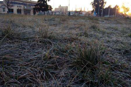 Se registró la helada más fuerte: 9.1º bajo cero