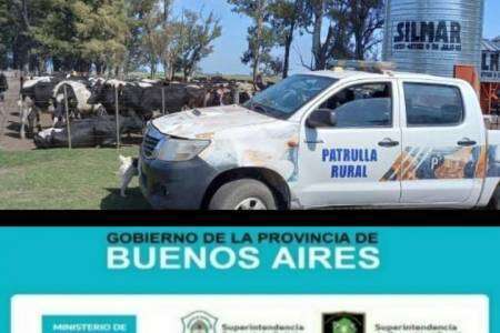 Golpe contra el abigeato: El CPR 9 de Julio esclareció un robo de animales valuado en 18 millones de pesos