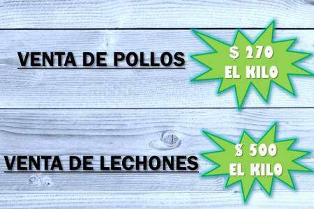 Venta de pollos y lechones a cargo de la Escuela Agropecuaria