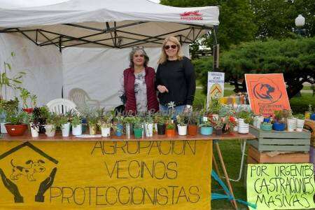 Susana Lang: “al Municipio no le interesa solucionar este problema, aunque es más económico que mantener la perrera”