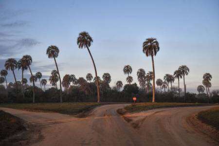 Vacaciones: cuáles son los requisitos de ingreso a cada provincia