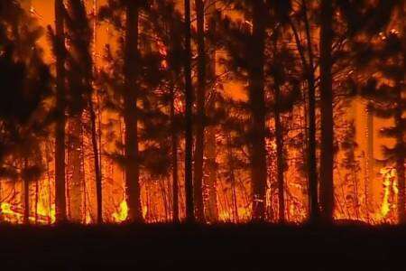 S.O.S. En Corrientes se incendia el “Estado presente”