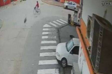 ¡Insólito! Un avestruz chocó a una mujer que circulaba en bicicleta