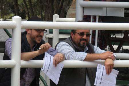 Remate de Estancias y Cabañas Don Benjamín en Saldungaray