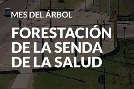 #MesDelÁrbol: Proyecto de forestación sobre la senda de la salud
