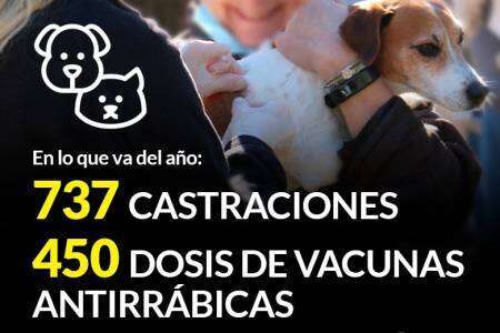 Castramóvil: En lo que va del año se realizaron 737 castraciones y aplicaron 450 dosis de vacunas antirrábicas