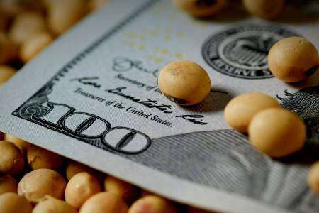 El nuevo dólar soja ya es oficial: todos los detalles del decreto y cómo el Gobierno espera sumar u$s 3000 millones