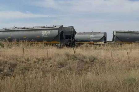 Descarriló un tren de cargas cerca de Suárez