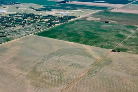 Una propuesta que se viralizó: productores siembran la cara de Messi en campos de maíz 