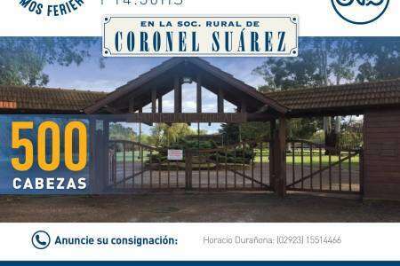 Remate de Saenz Valiente, Bullrich y Cia. en la Sociedad Rural de Coronel Suárez
