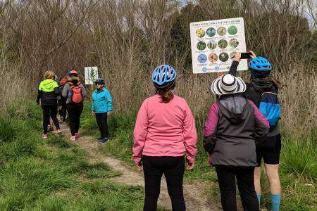 Turismo: Desaparecieron carteles del sendero de Piñeyro