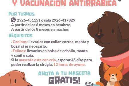 Castración y Vacunación Antirrábica Gratuita