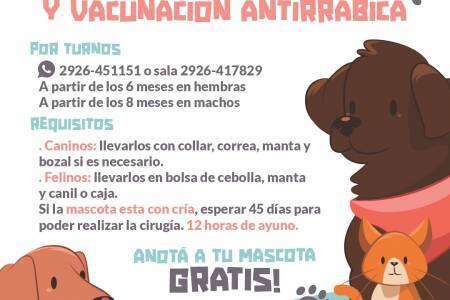 Castración y Vacunación Antirrábica Gratuita