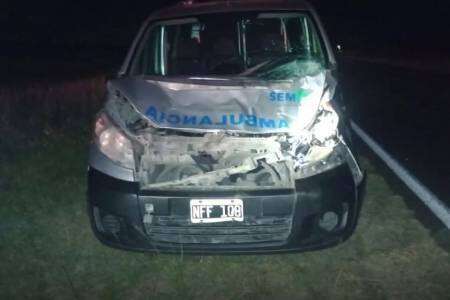 Una ambulancia chocó contra un vacuno en la Ruta Nacional 205
