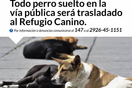 INFORMACIÓN IMPORTANTE PARA PROPIETARIOS DE PERROS