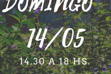 Feria Suárez Produce: este domingo nos volvemos a encontrar en el Galpón