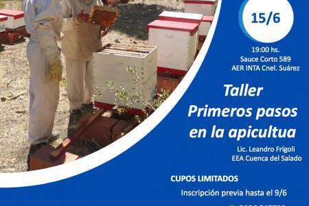 Taller Primeros pasos en la Apicultura en INTA