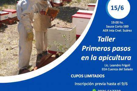 Taller de apicultura y manejo de la vaca al momento del parto del INTA