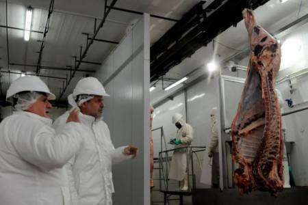 La carne vacuna vuelve a exportarse desde el puerto de Bahía Blanca 