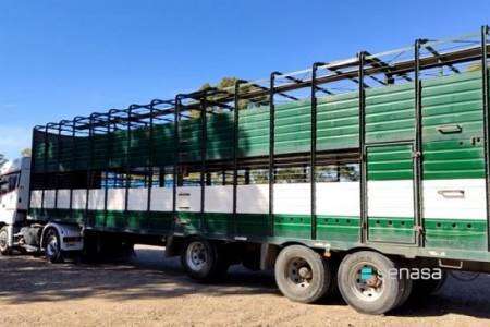 Inicia el Plan para verificar el estado de habilitación de medios de transportes de animales