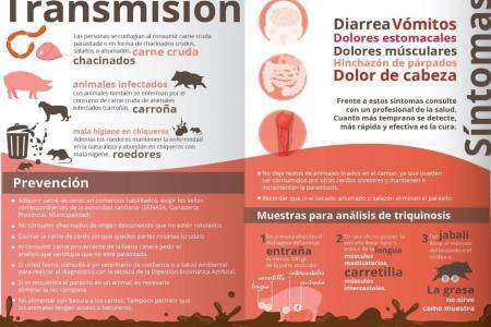 IMPORTANTE: PREVENCIÓN DE LA TRIQUINOSIS