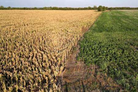 Gobierno anticipa medidas para el campo y no descarta modificar el esquema de retenciones 