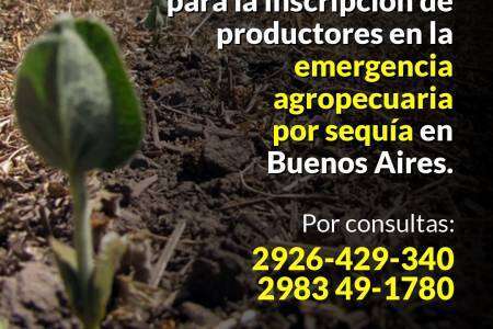 Se extendió la prórroga para la inscripción de productores en la emergencia agropecuaria por sequía en Buenos Aires