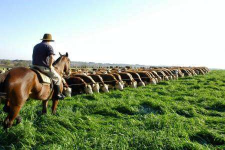 Aumento de salarios para los trabajadores y trabajadoras rurales