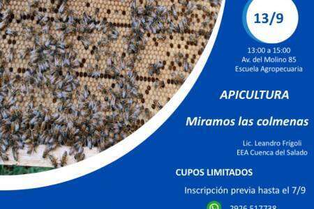 Charla técnica de apicultura "Miramos las colmenas"
