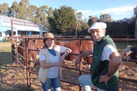 Exhibición de toros de Cabaña AMA2: “Cuando uno quiere, puede”