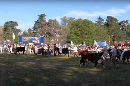 Desfile de los Grandes Campeones de la Exposición Rural
