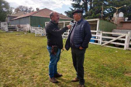 EXPO RURAL 2023: Cabaña Nuevo Roble recibió premios en toro y vaquillona